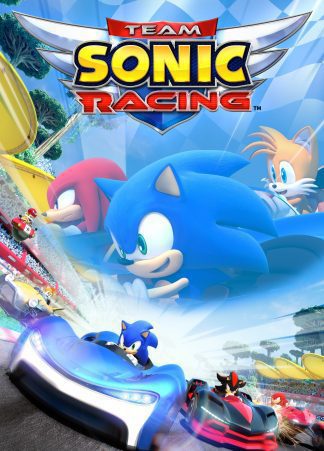 team sonic racing switch cover