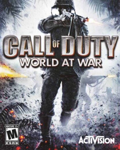 Call of Duty: World at War Steam Gift