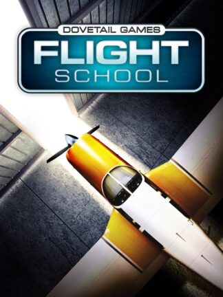 Dovetail Games Flight School Steam CD Key