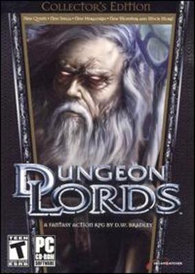 Dungeon Lords Steam Edition Steam CD Key