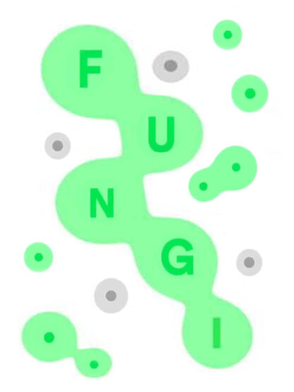 FUNGI Steam CD Key