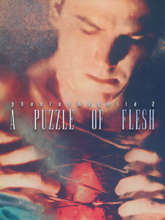 Phantasmagoria 2: A Puzzle of Flesh