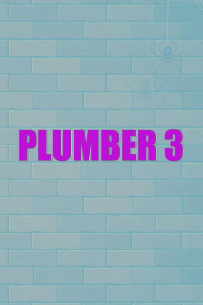 Plumber 3 Steam CD Key
