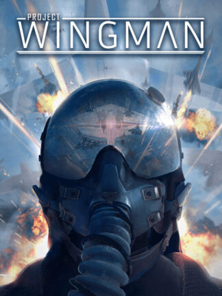 Project Wingman EU Steam CD Key