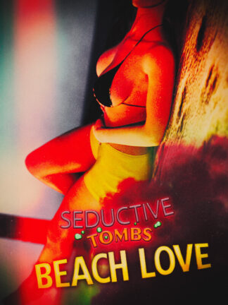 Seductive Tombs: Beach Love Steam CD Key