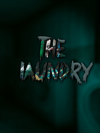 The Laundry Steam CD Key