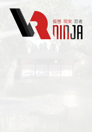VRNinja Steam CD Key