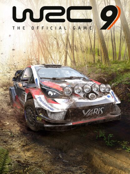 WRC 9 FIA World Rally Championship Steam CD Key