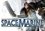 Warhammer 40,000: Space Marine - Blood Angels Veteran Armour Set Steam CD Key